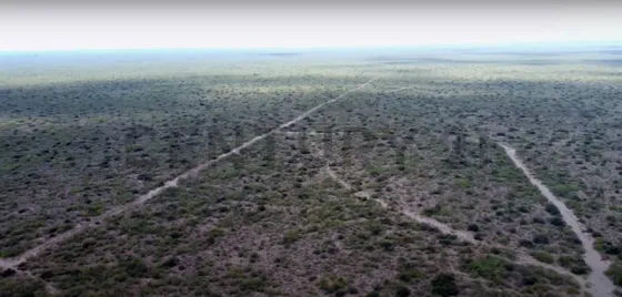 Venta Campo En San Rafael