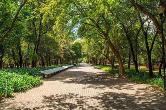 Preventa Departamento En El Corazón De Chapultepec