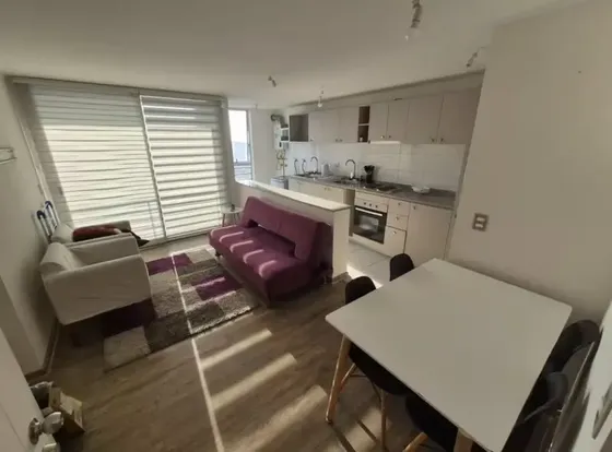 Arriendo Amoblado 2d2b1e1b Cerro Placeres