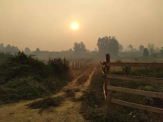 Se Vende Terreno En Talcamávida, Comuna De Hualqui