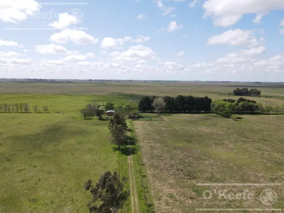 Campo En Venta 133 Has En Magdalena - Mixto.