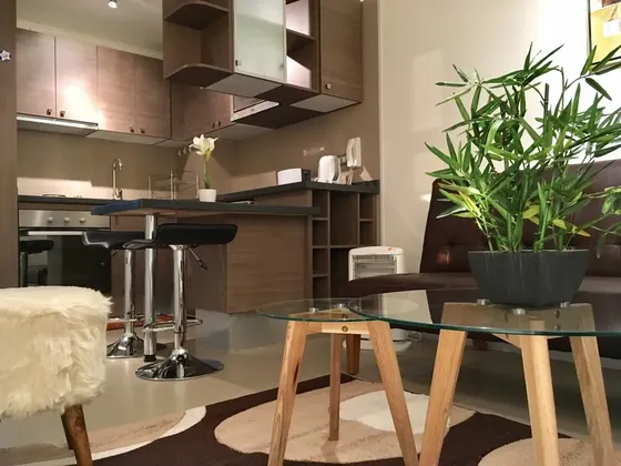 Arriendo Departamento Por Dias En Santiago