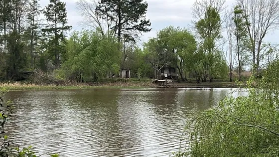 Chacra Frente Al Rio, 10 Hectareas, 70 Metros De Costa Villa Paranacito