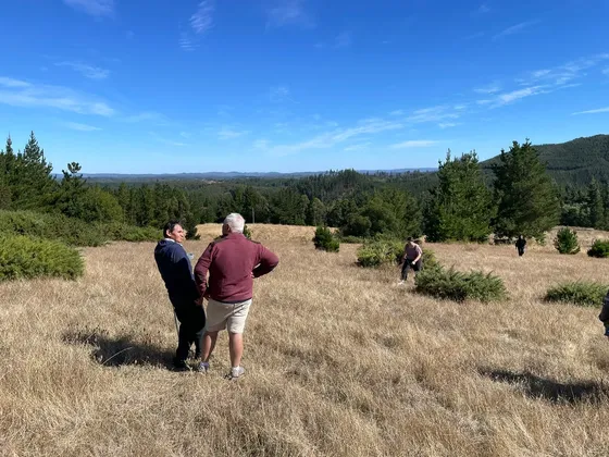 Se Vende Parcela 10000 M2, Florida, Concepción