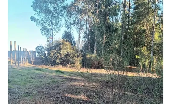 Oportunidad Terreno Urbano Talcamávida, Hualqui