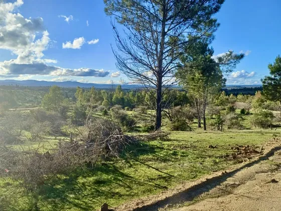 Parcelas En Cauquenes Entrega Inmediata 5.000m2 Planas