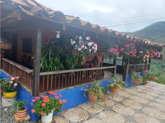 Venta Finca Cafetera En Pueblorrico, Sector Galilea