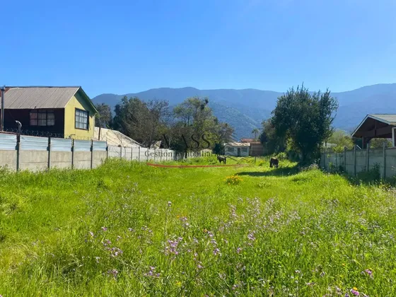 Vass Vende Terreno 1.000 M2 A Pasos De Plaza De Los Caballos