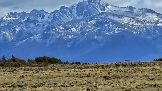 Campo En  Chubut - Patagonia