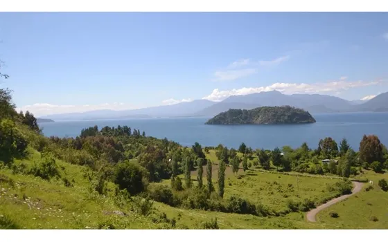 Parcela En Venta En Lago Ranco