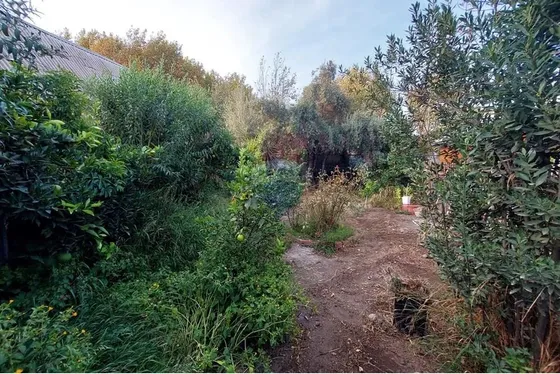 Venta Terreno Plano Y Rectangular - 1.000 M2