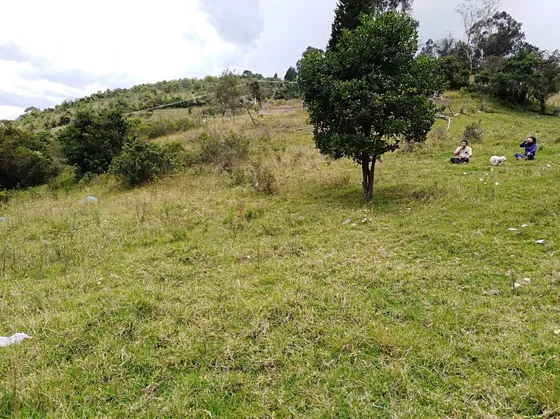 Espectacular Finca Agricola