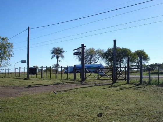 Venta Campo Santa Ana - Mnes 792 Hect Sobre Ruta Nac 12