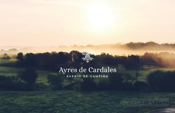Ayres De Cardales, Campana