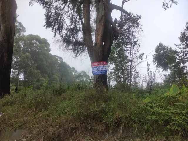 Tu Paraíso Privado Te Espera! Terreno Exclusivo En El Tibrom Con: Pozo, Electricidad Y Vistas De Ensueño.