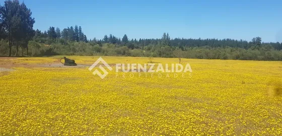 Sitio En Venta En Parral
