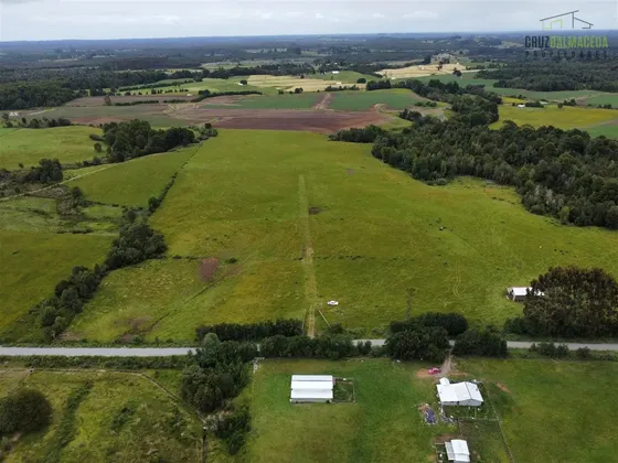 Campo Subdividido En Parcelas De 5.000mts En Olmopulli