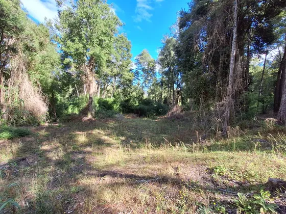 Exclusiva Parcela En Venta Sector Pichihuape, Valdivia