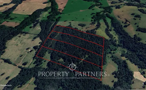 4 Lotes De 5 Ha Cada En Los Tayos Altos