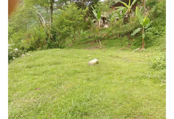 Lote En San Jerónimo, Antioquia En Venta
