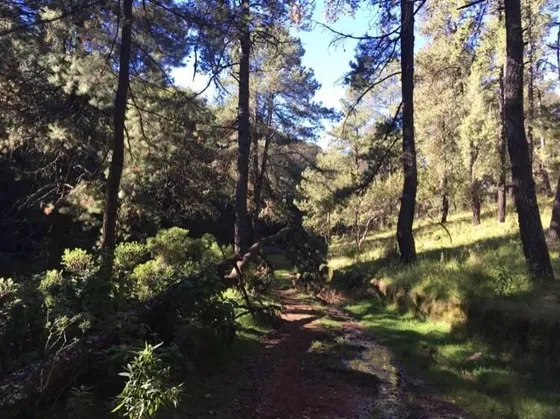 Terrenos En Venta En Tlazala De Isidro Fabela