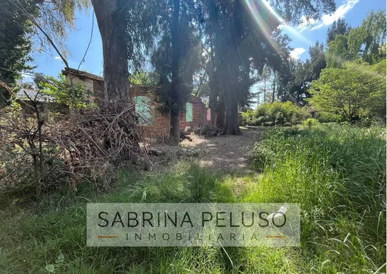 Venta Terreno Paso Del Rey