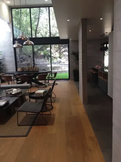 Vive En El Corazón De Coyoacán