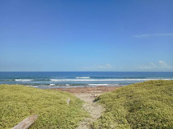 Carretera Federal  Anton Lizardo, Terreno En  Venta Con Playa.