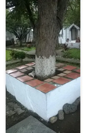 Quinta En Venta En Rincon De La Sierra
