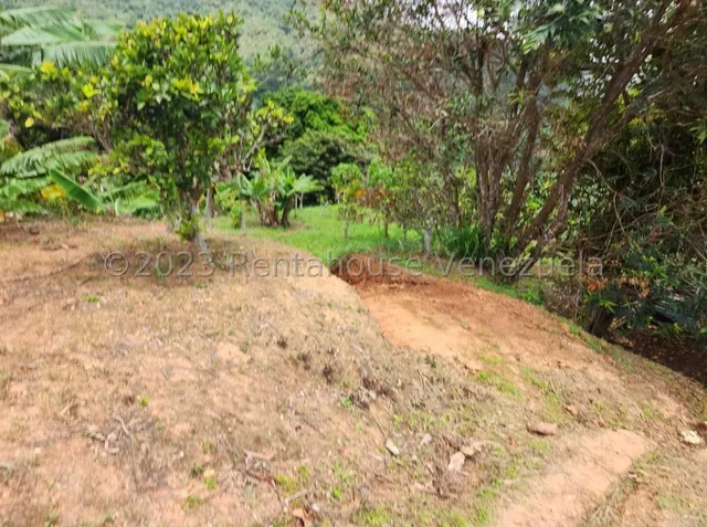 Terreno En Venta Urb. Galipán, Caracas. 24-8501 Yf