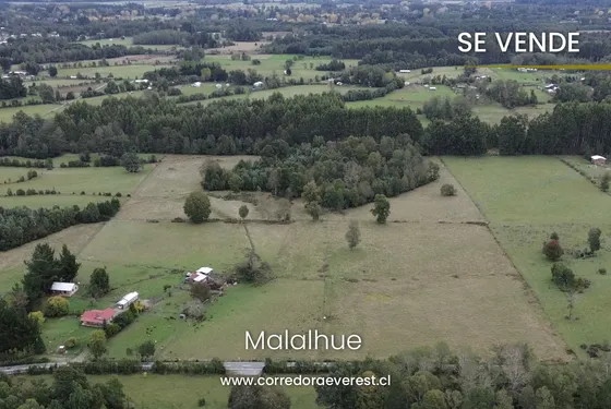 Se Vende Terreno Rol Propio De 9,3 Ha Planas Malahue, Lanco