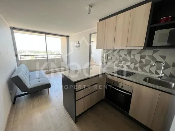 Arriendo Depto C/ Balcón 1d1b Metro Ecuador Estación Central