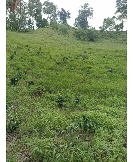 Se Vende Lote Cordoba Quindío 