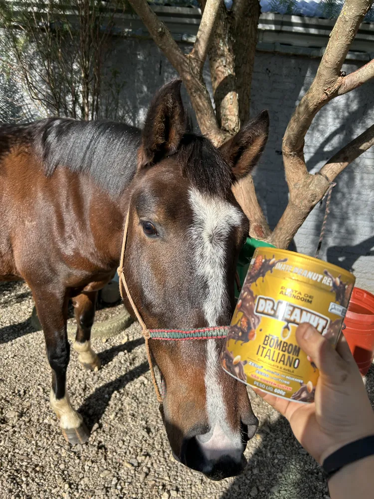 Pasta de Amendoim Dr Peanut Power Cream Whey Protein Sabor Leite Em Pó - foto de usuário