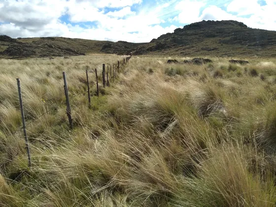 Carolina, Campo De 50 Has. San Luis, Argentina.