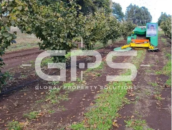 Venta Villarrica 57 Há