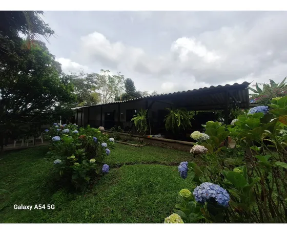 Venta Finca Circasia Quindio. Colombia Cod: 8481169