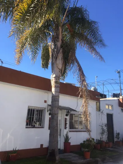 Ituzaingo  Dueño Vende/permuta Caba Ph Condominio Int 3 Amb