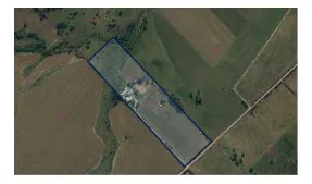 Campo Importante Ganadero Agrícola Con Excelente Tierra Productiva Y Tambo