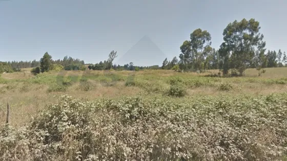 Temuco Terreno En Camino Botrolhue