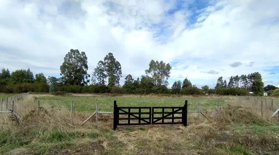 Cod-455 ¡parcela En Venta, Oportunidad Compra En Frutillar