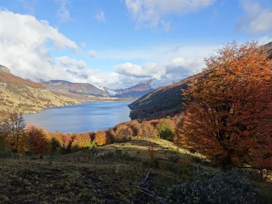 Sitio En Venta En Coihaique