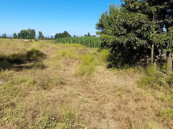Parcela En Venta En Maule