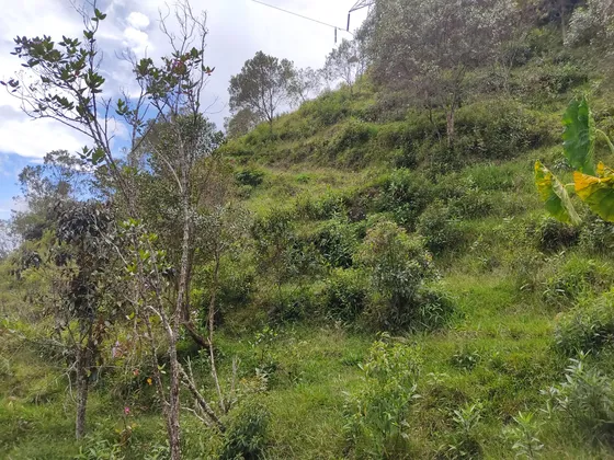 Vendo Lote En Guatape Con Excelente Vista A La Represa