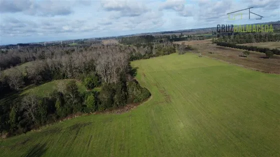 Agrícola En Venta En Frutillar