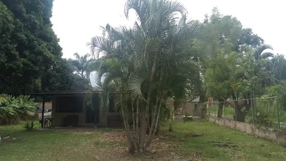 Mariana Vende Parcela En Las Morochas San Diego Maria A