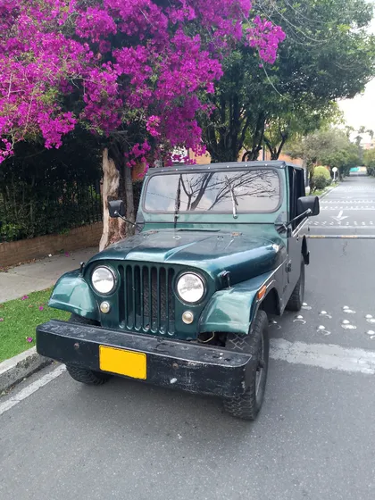 Jeep Willys 1964 Cj6