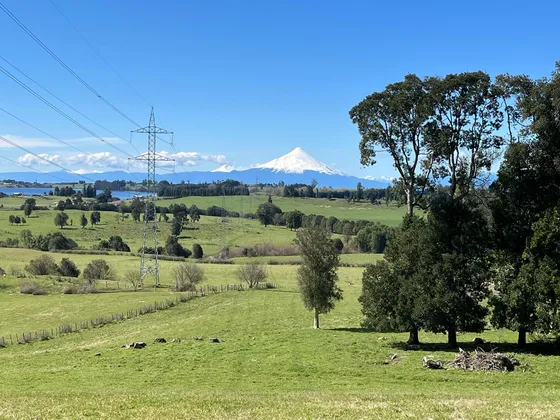 Maravillada Parecela Puerto Varas