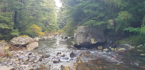 Refugio Llaima: Desde 5000m2 A Orillas Del Río Huichahue