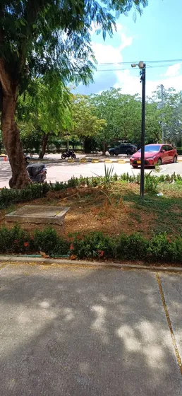 Arriendo Apartamento En Ricaute Peñaliza